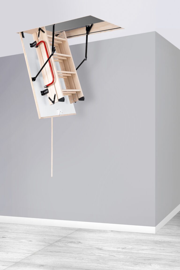 LONG_termo_ps_aranz_2